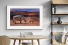 Pixalot ® Rhino Road