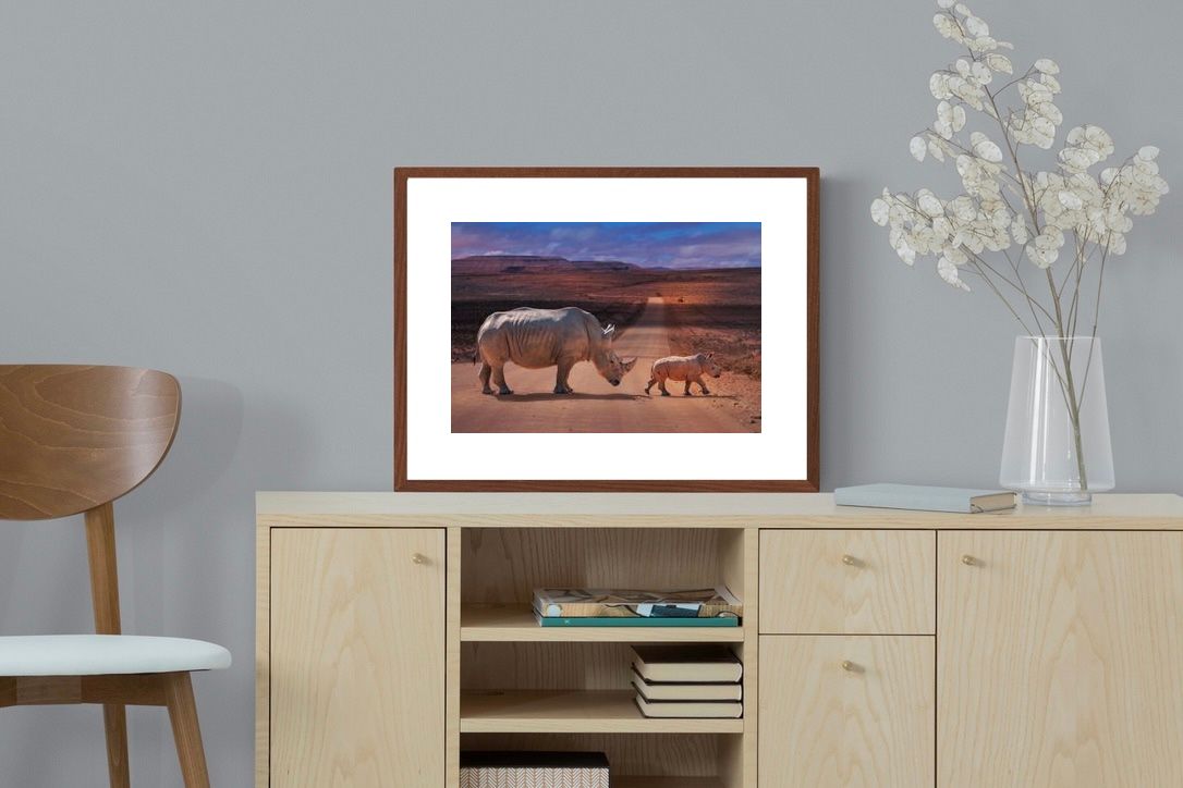 Pixalot ® Rhino Road
