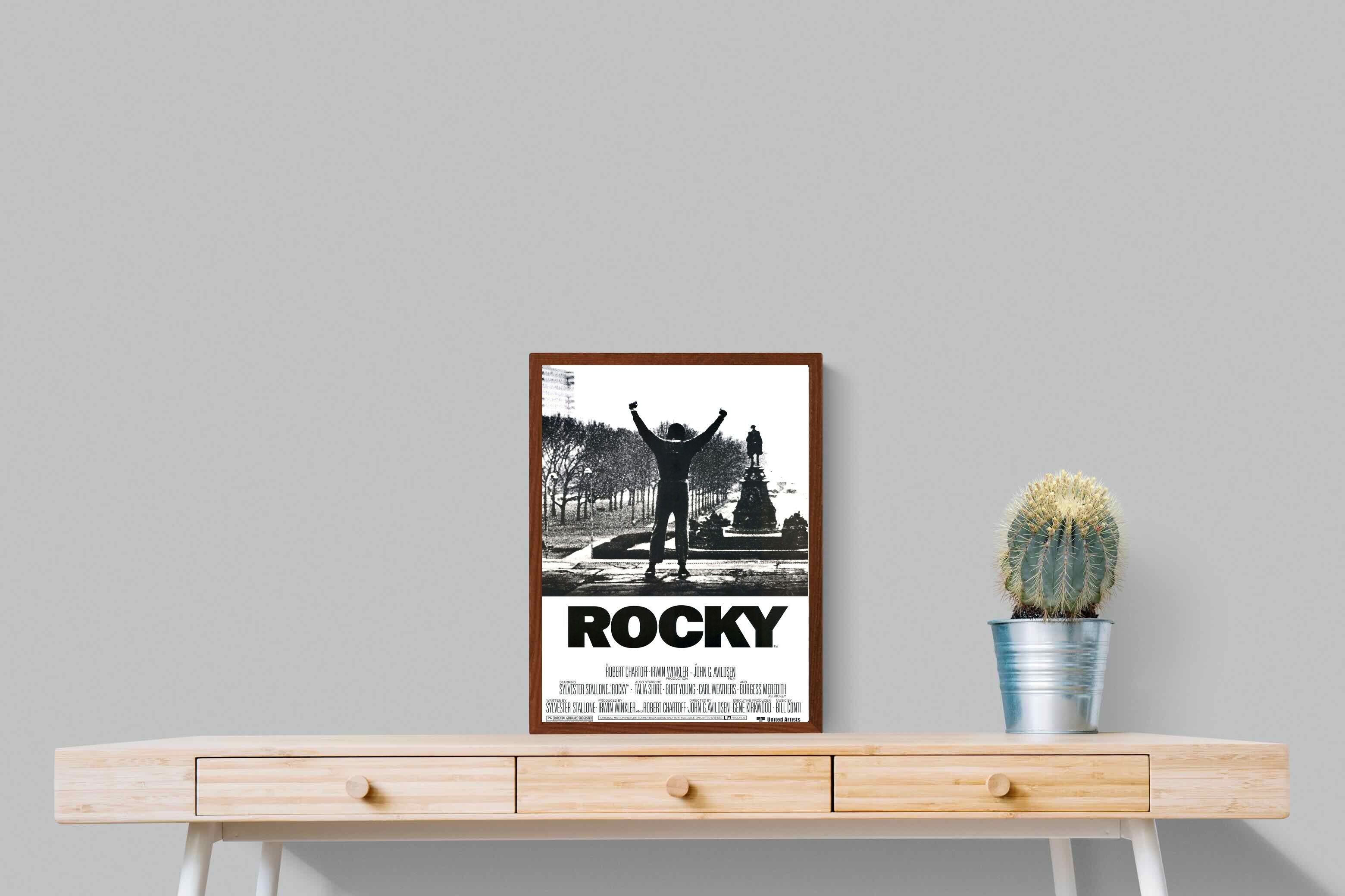 Pixalot Rocky