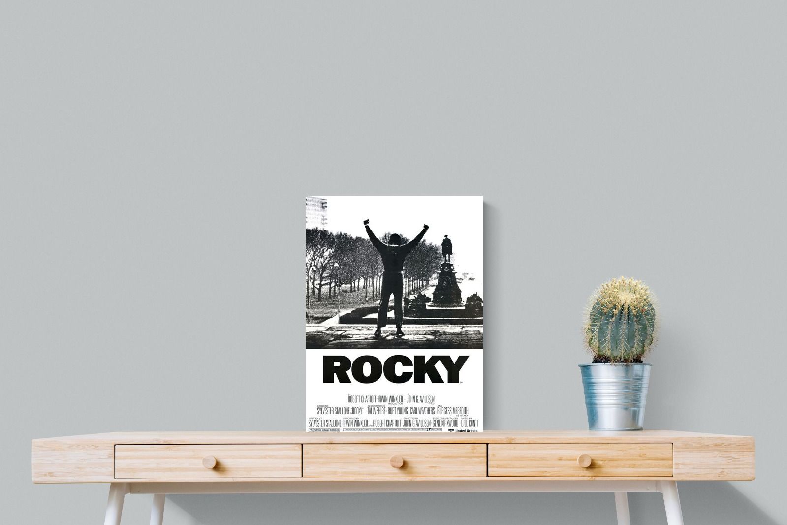 Pixalot Rocky