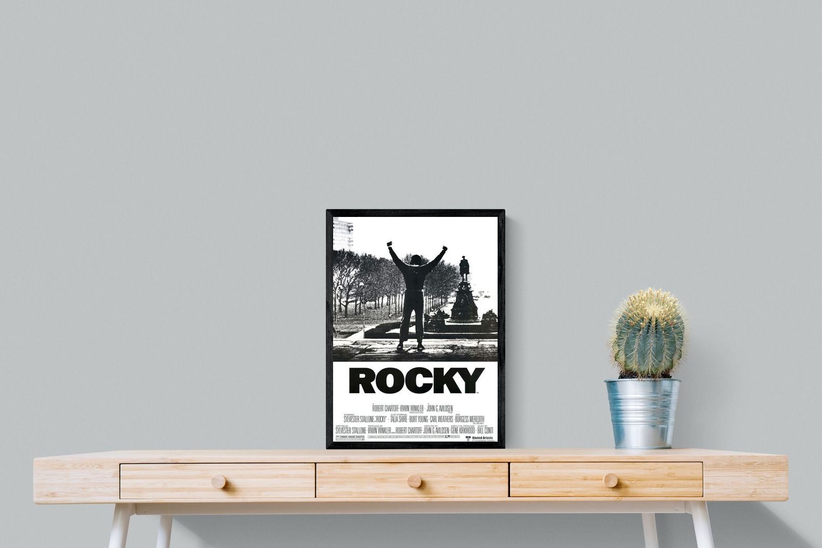 Pixalot Rocky