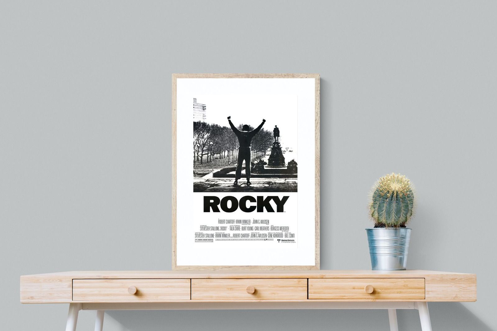 Pixalot Rocky