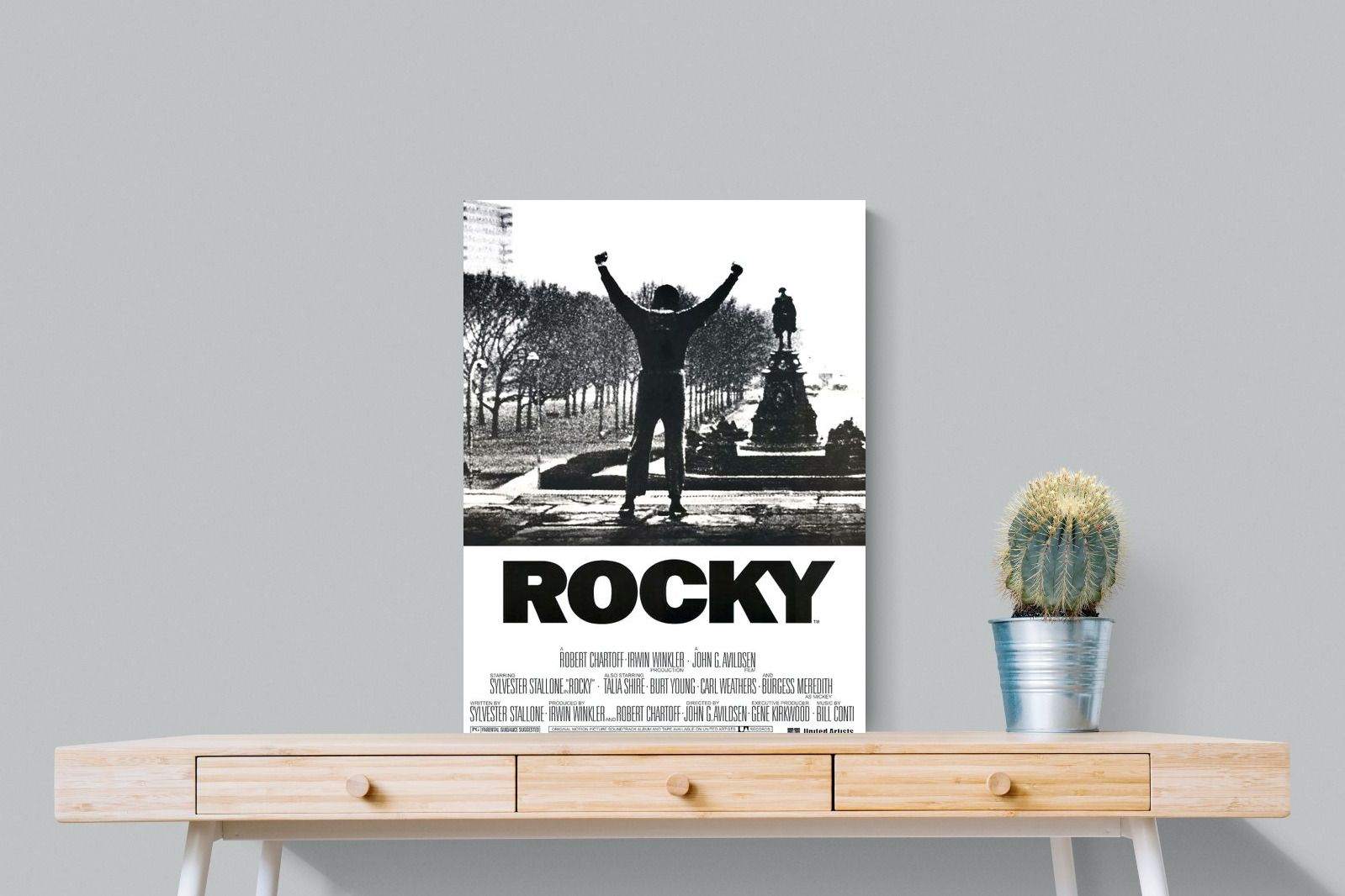 Pixalot Rocky