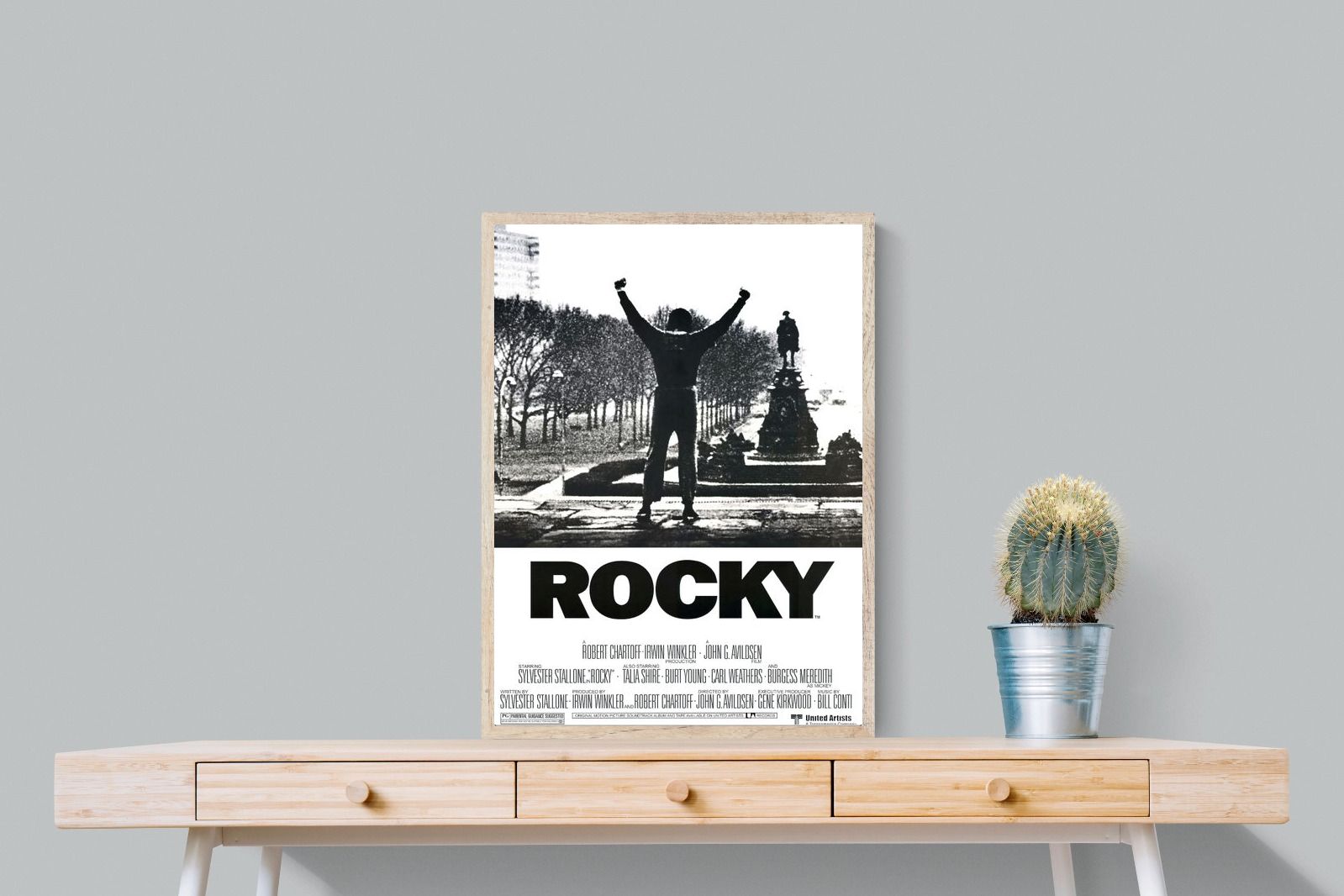Pixalot Rocky