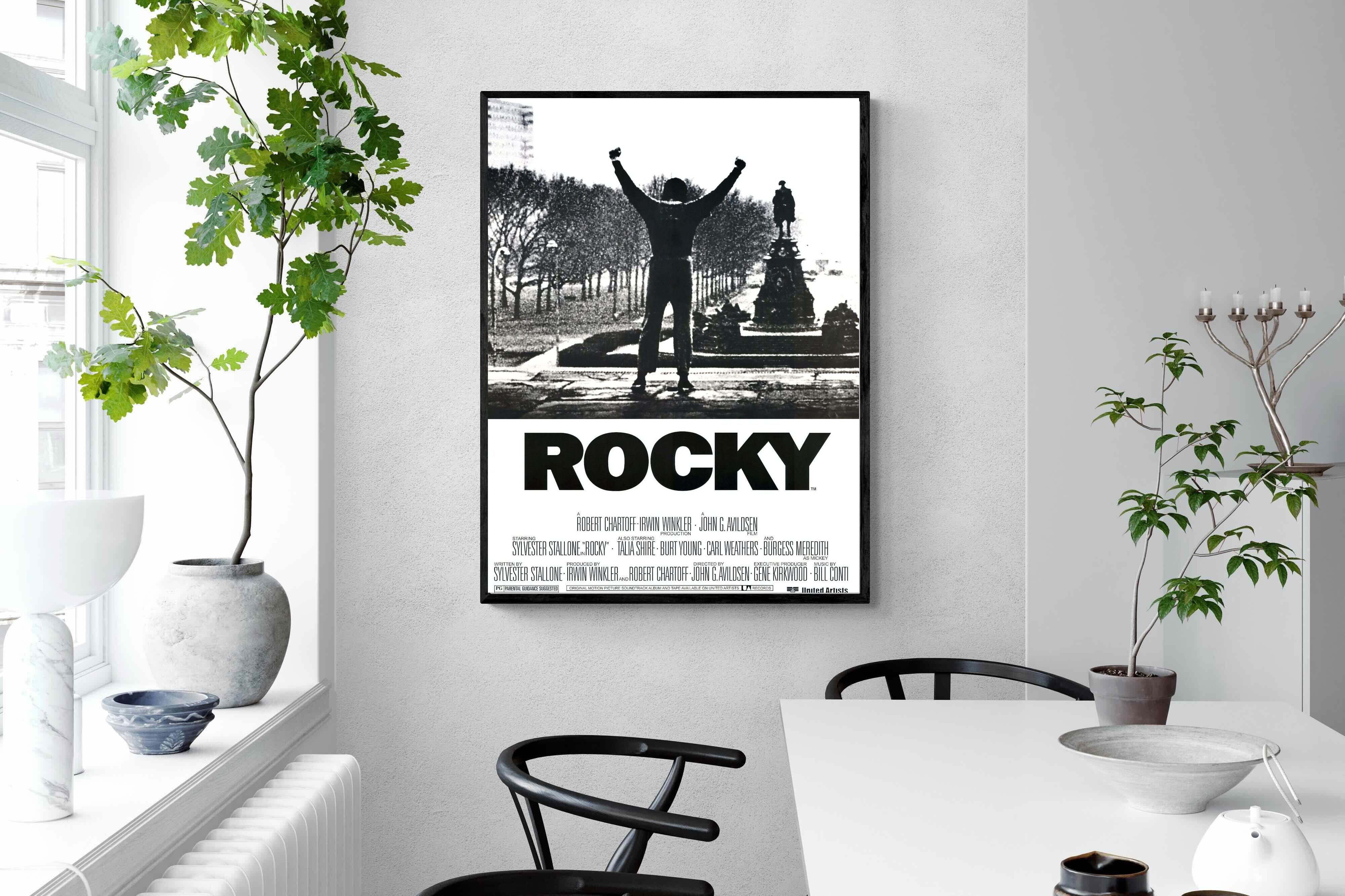 Pixalot Rocky