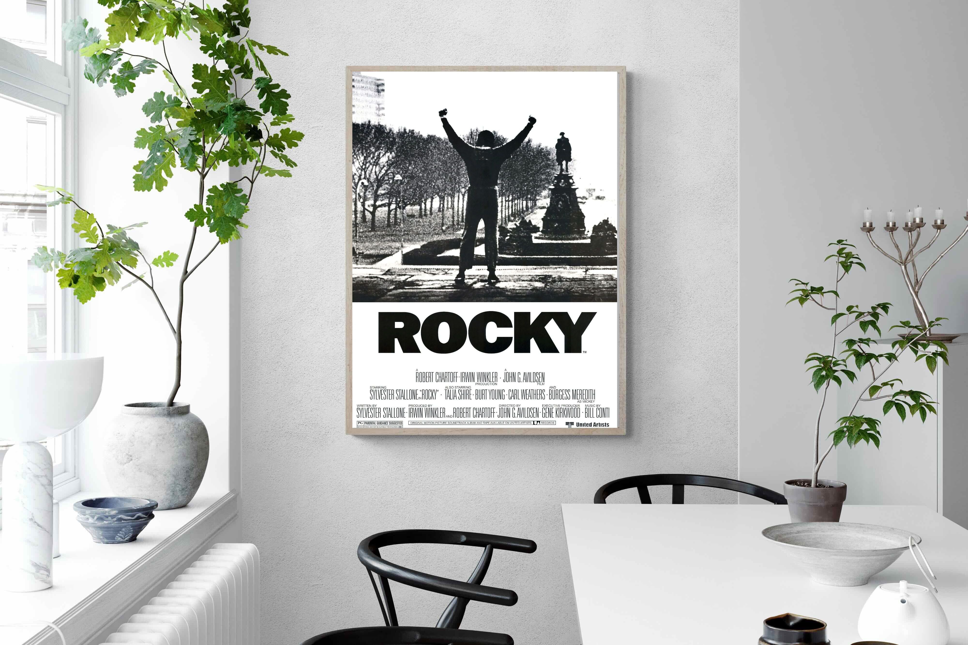 Pixalot Rocky
