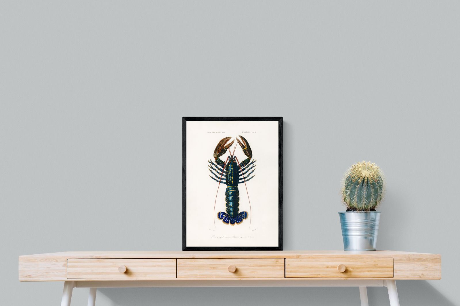 Pixalot Royal Lobster