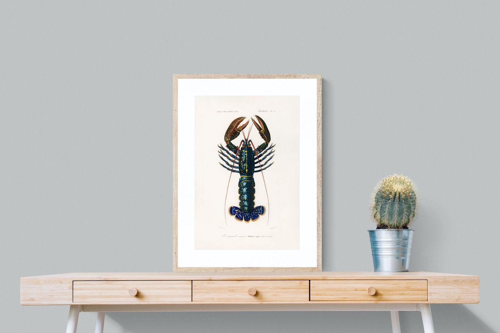 Pixalot Royal Lobster