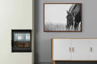 Pixalot ® Sable Stallion