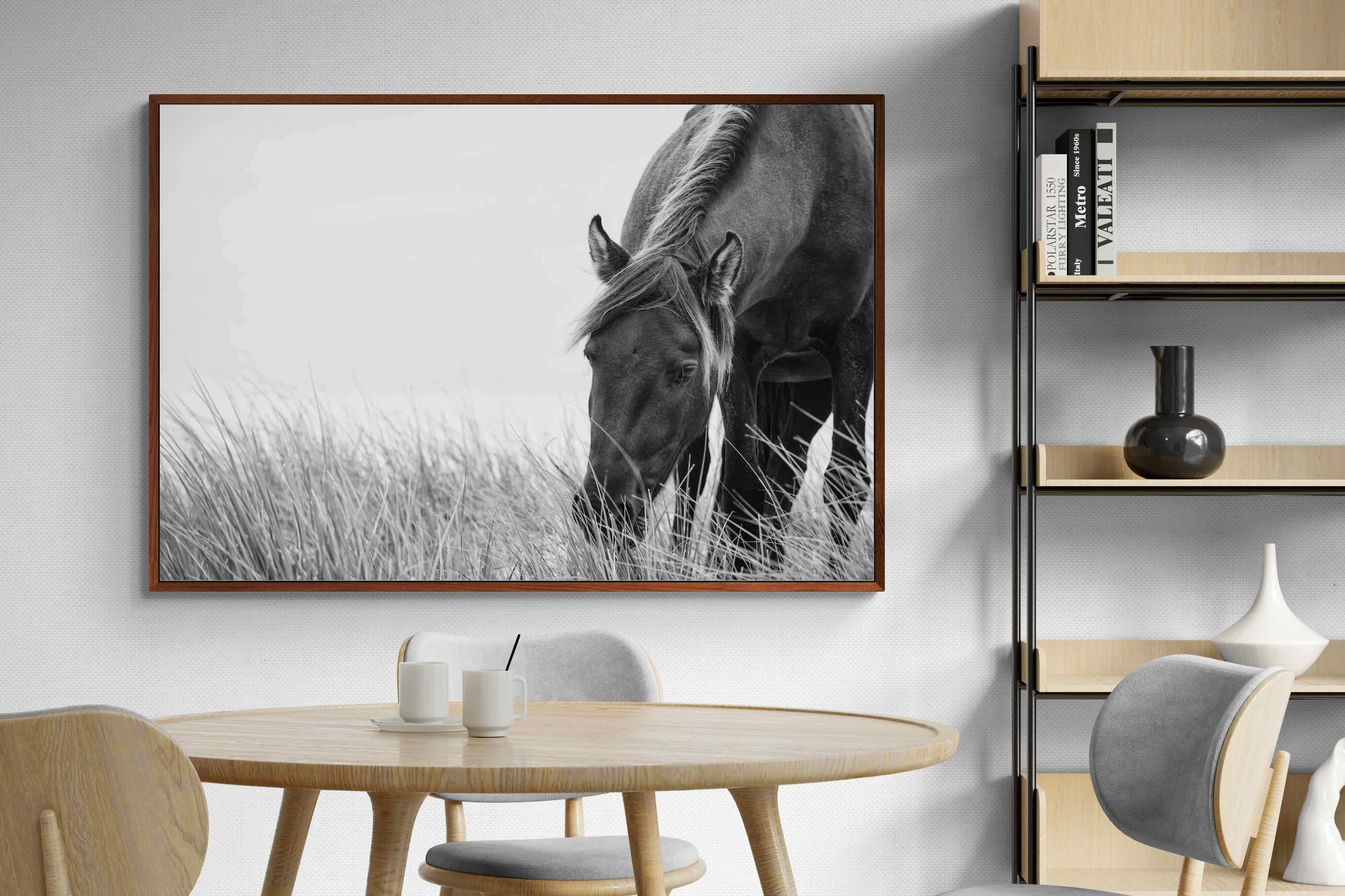 Pixalot ® Sable Stallion