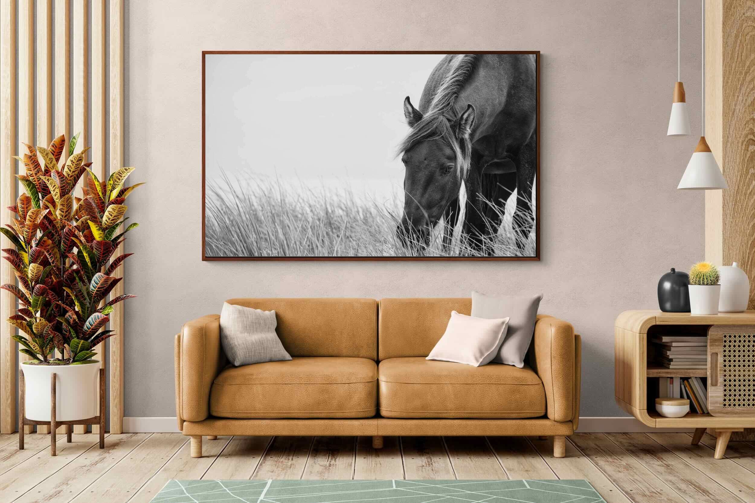 Pixalot ® Sable Stallion