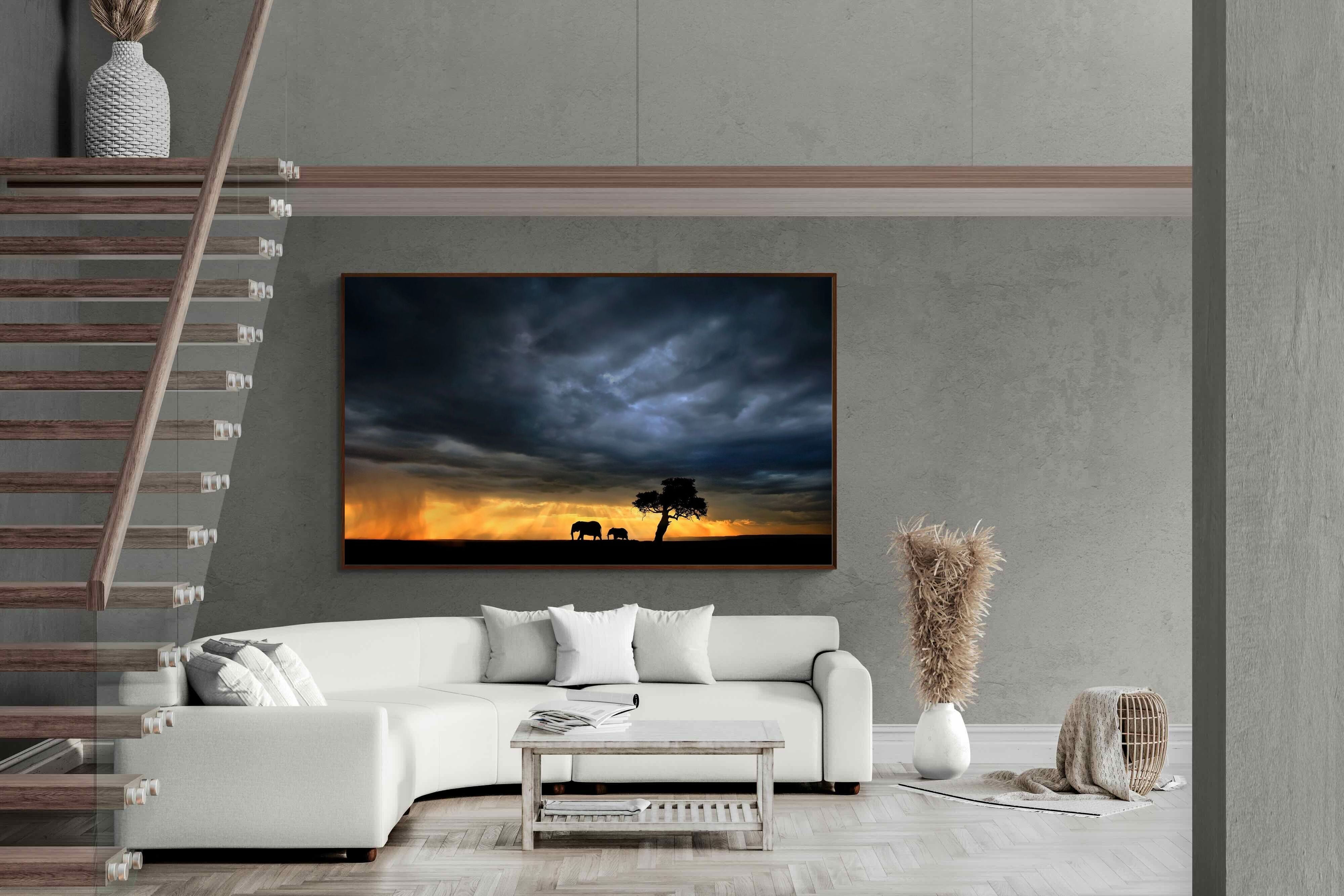 Pixalot Safari Sunset