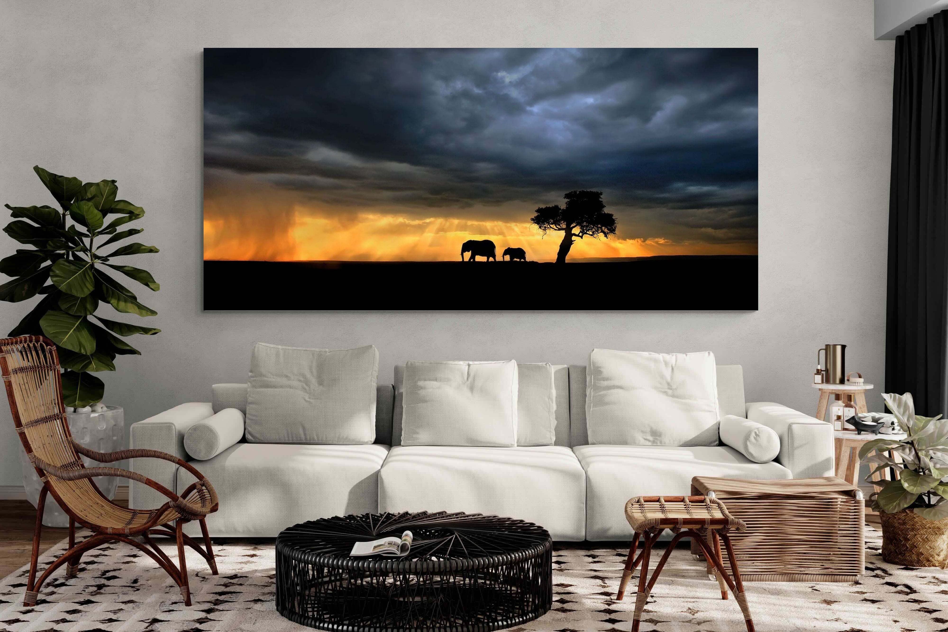 Pixalot Safari Sunset