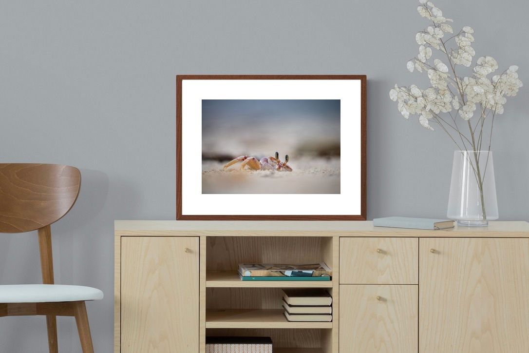 Pixalot ® Sand Crab