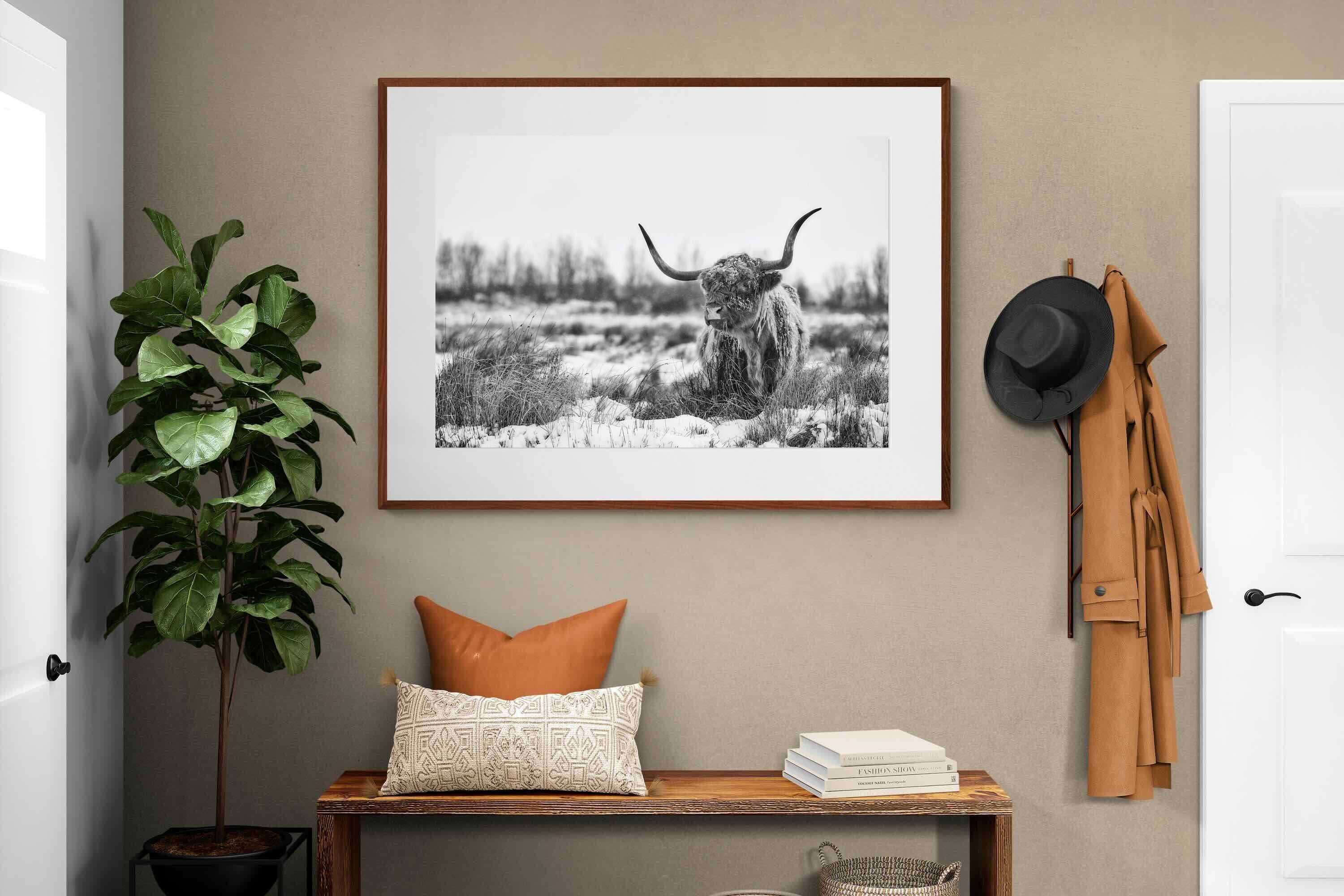 Pixalot ® Scottish Highlander (black & white)