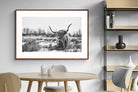 Pixalot ® Scottish Highlander (black & white)