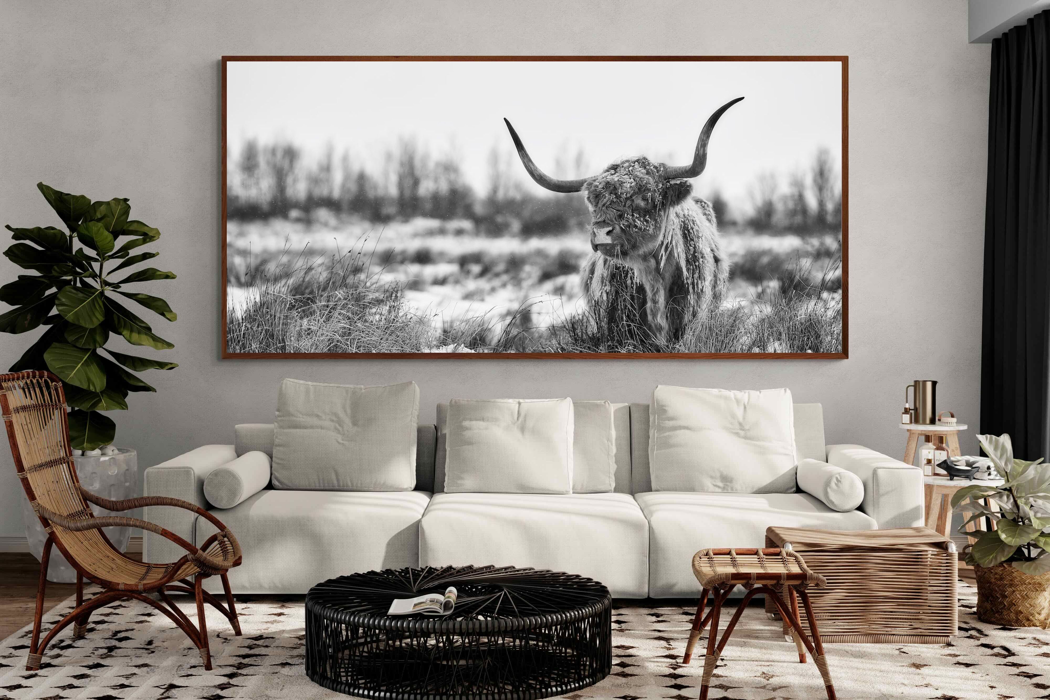 Pixalot ® Scottish Highlander (black & white)