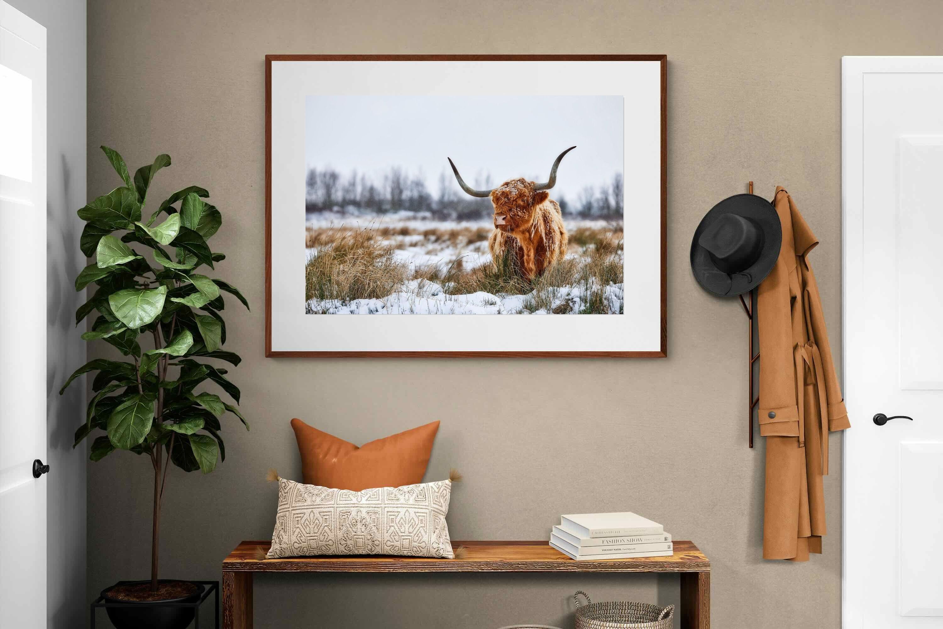 Pixalot ® Scottish Highlander (colour)