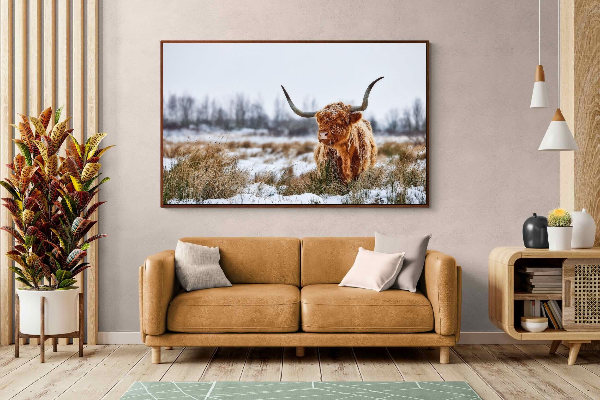 Pixalot ® Scottish Highlander (colour)