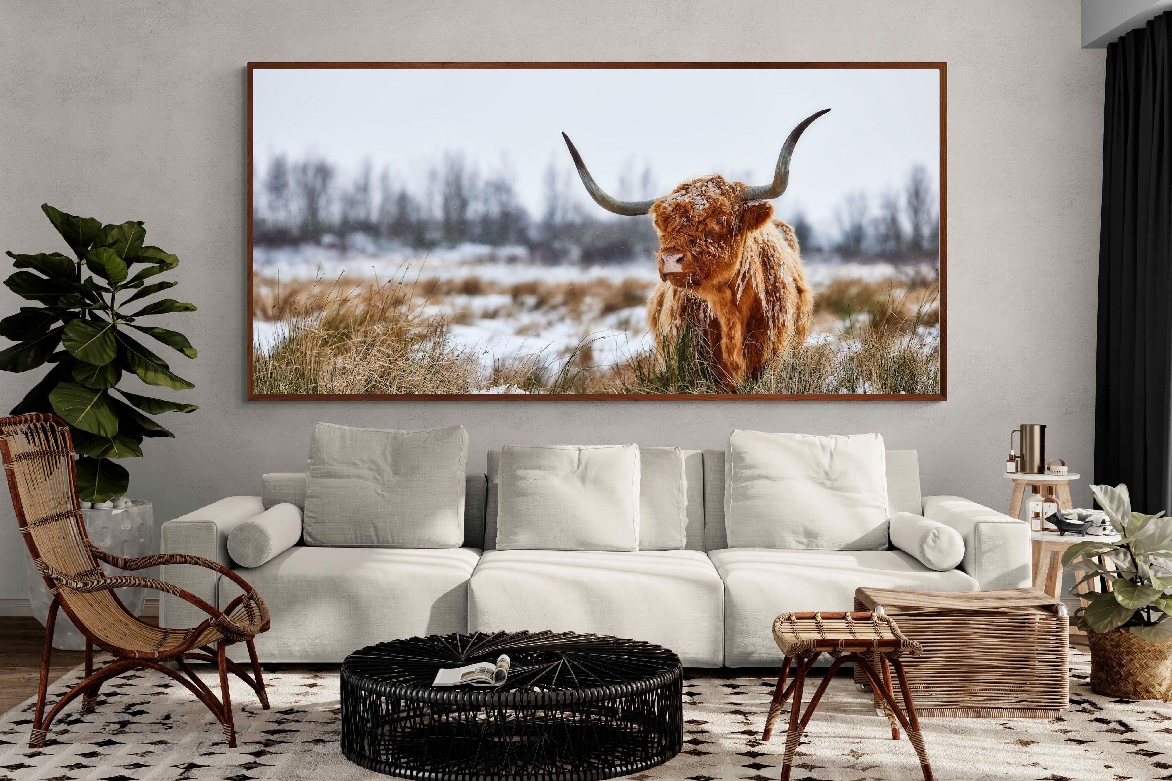 Pixalot ® Scottish Highlander (colour)