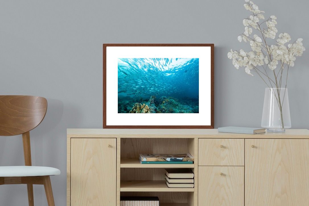 Pixalot ® Seabed