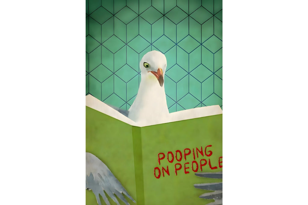 Seagull Manual