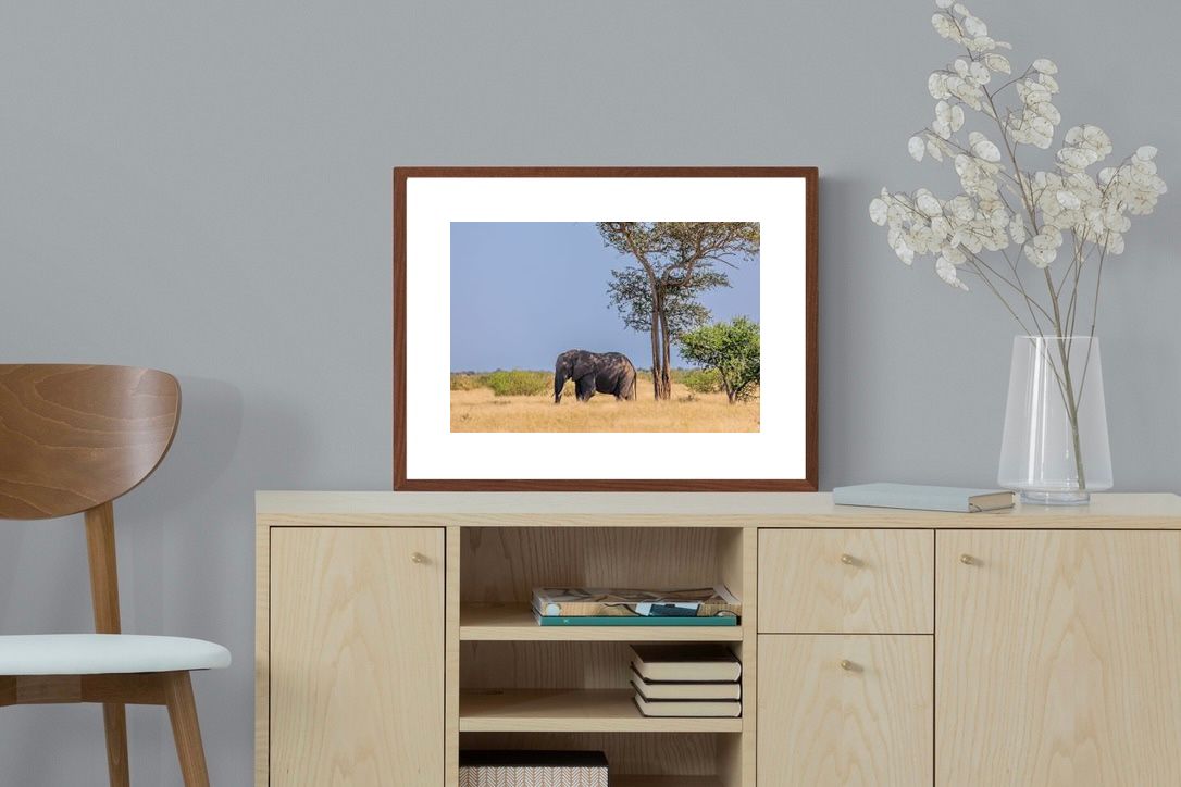 Pixalot ® Shady Elephant