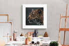 Pixalot ® Silent Hunter