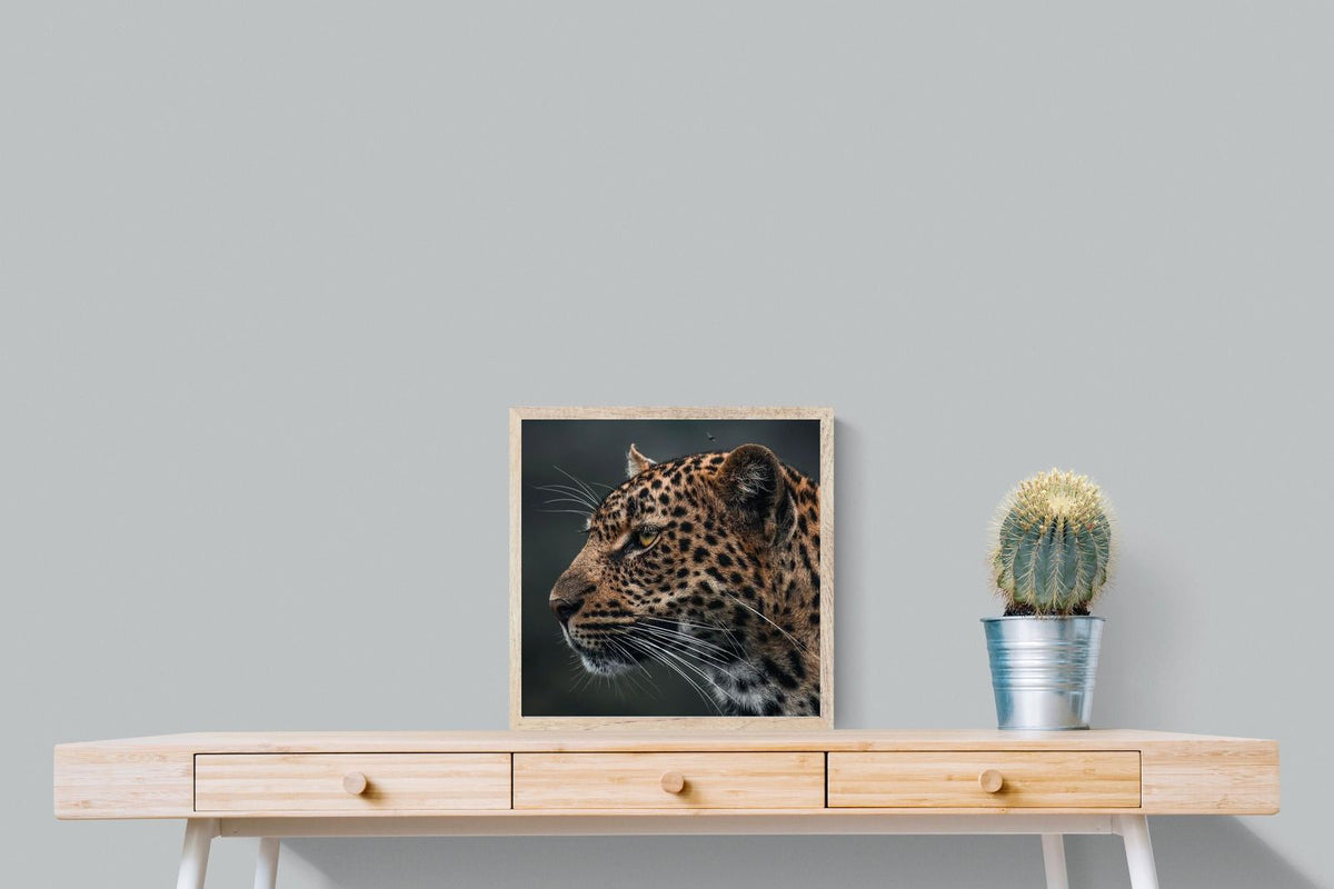 Pixalot ® Silent Hunter