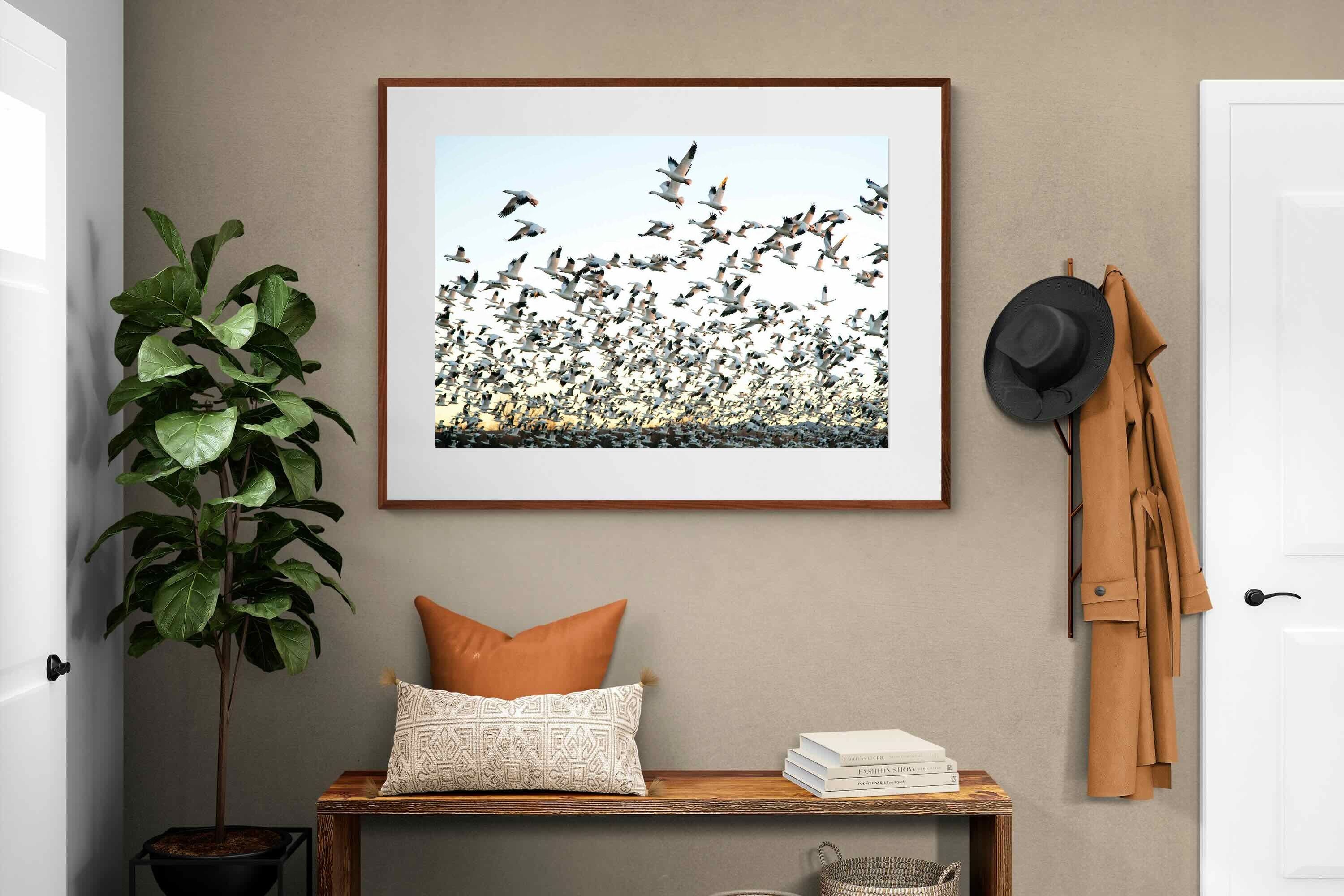 Pixalot ® Snow Geese