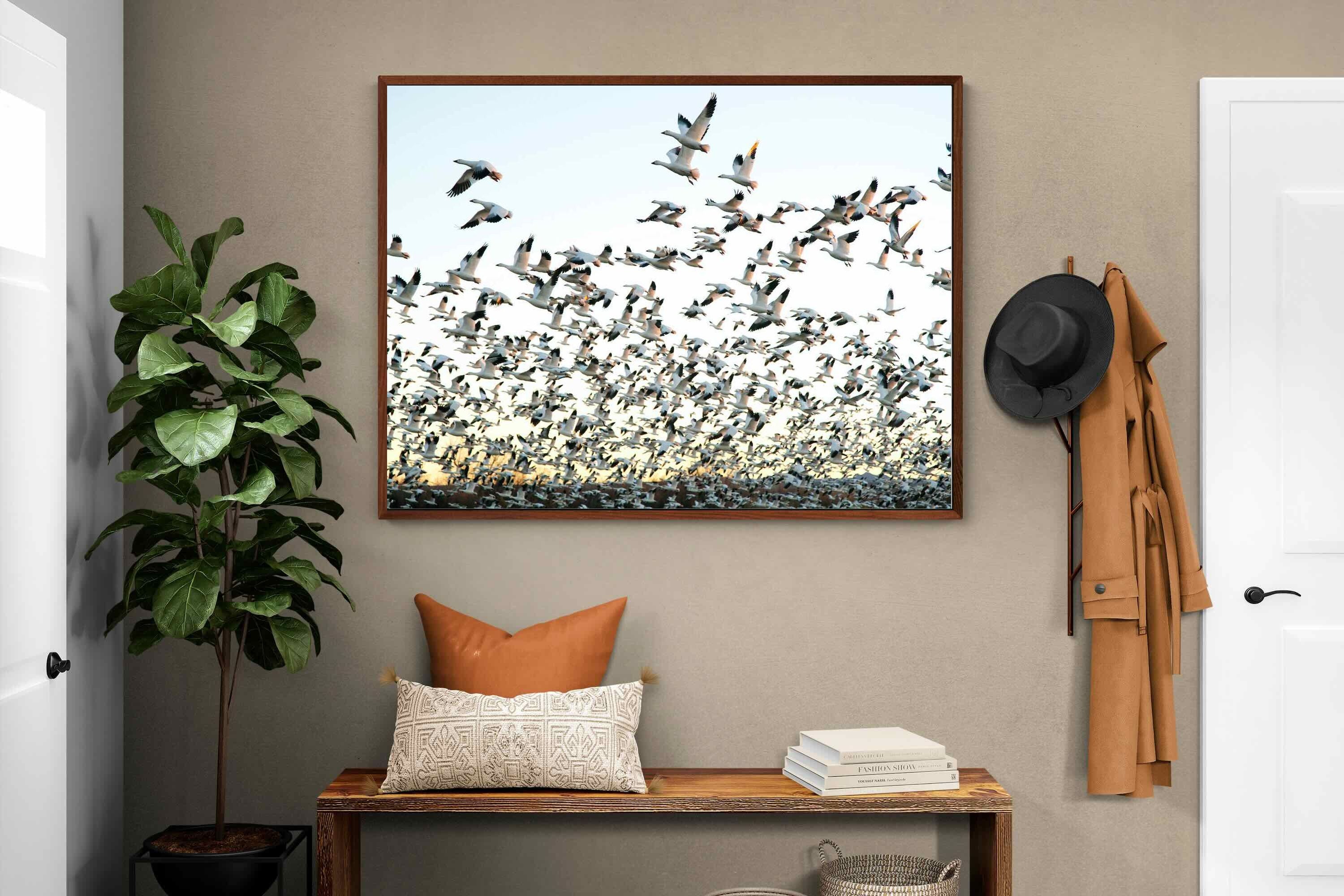 Pixalot ® Snow Geese
