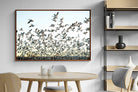 Pixalot ® Snow Geese