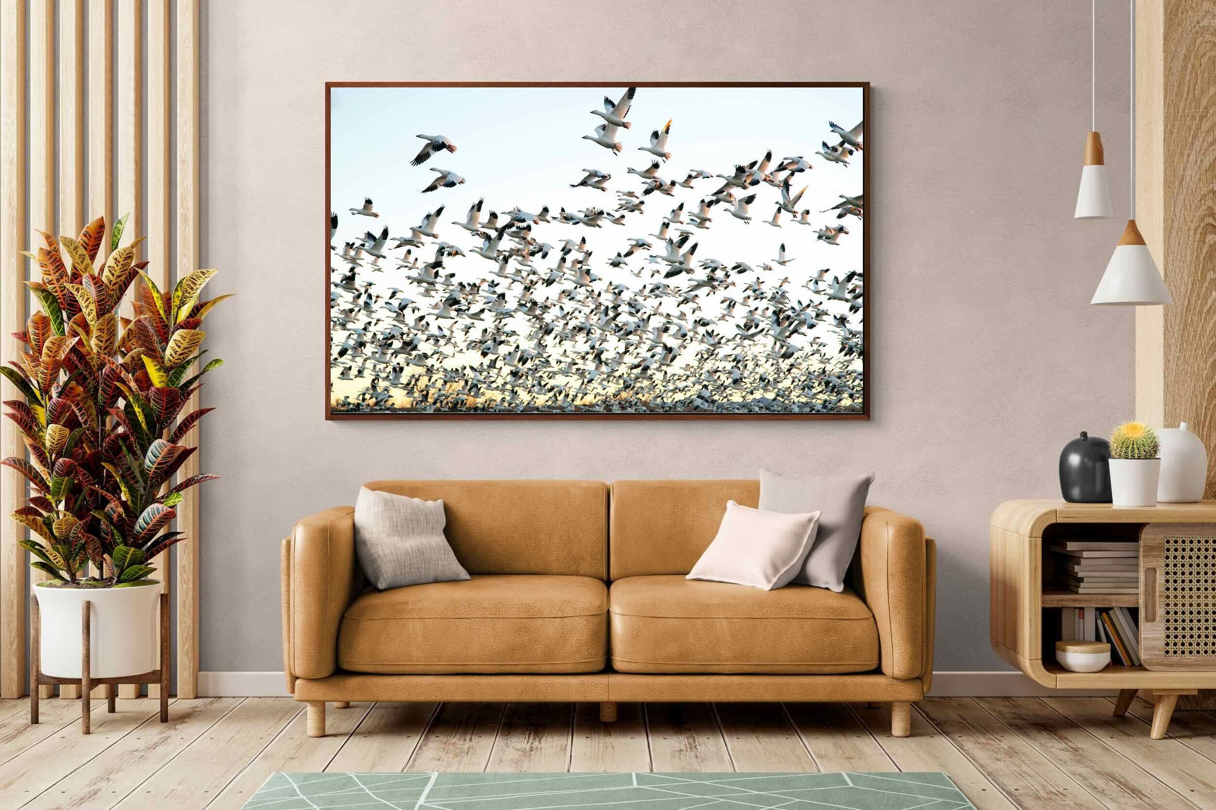 Pixalot ® Snow Geese