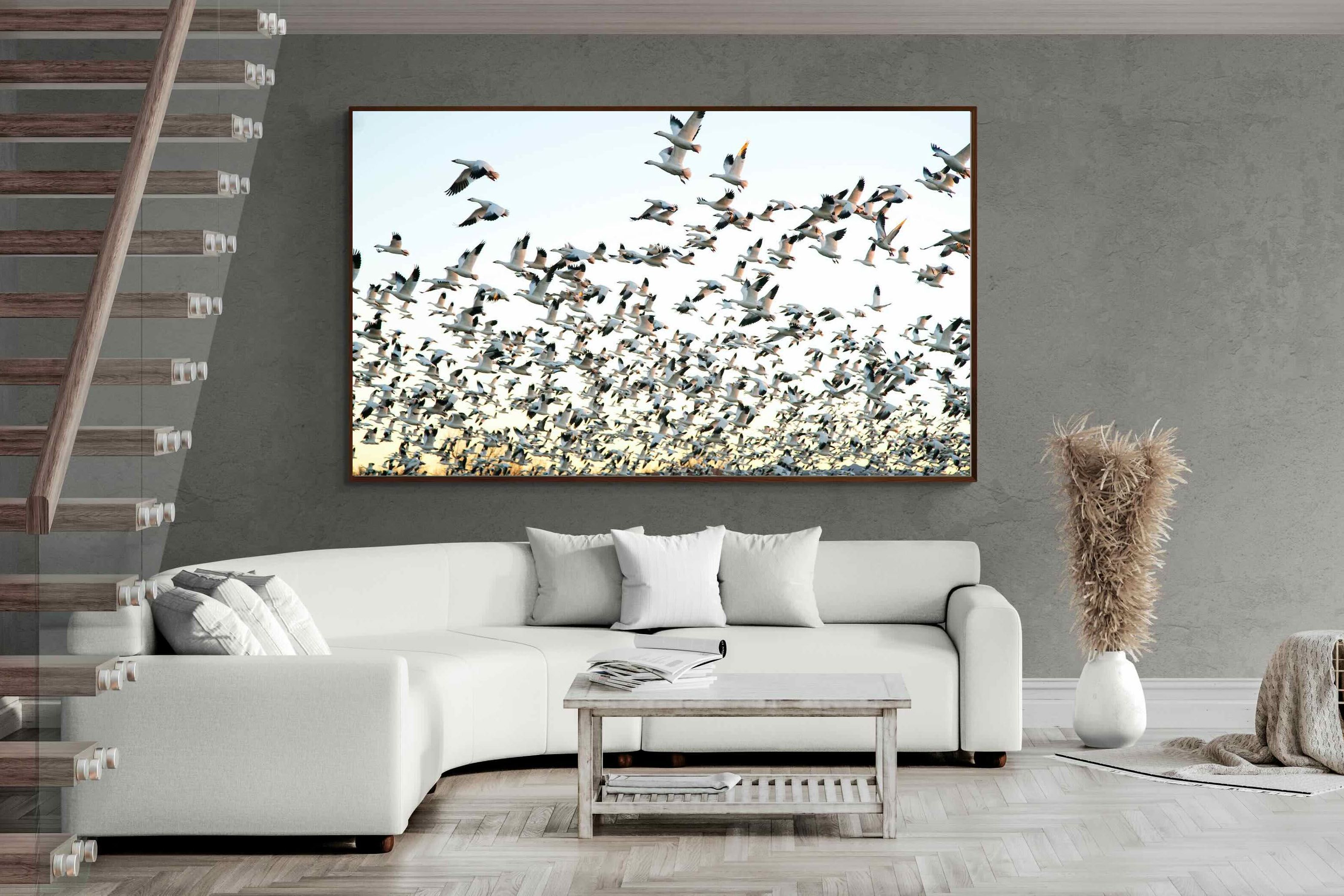 Pixalot ® Snow Geese