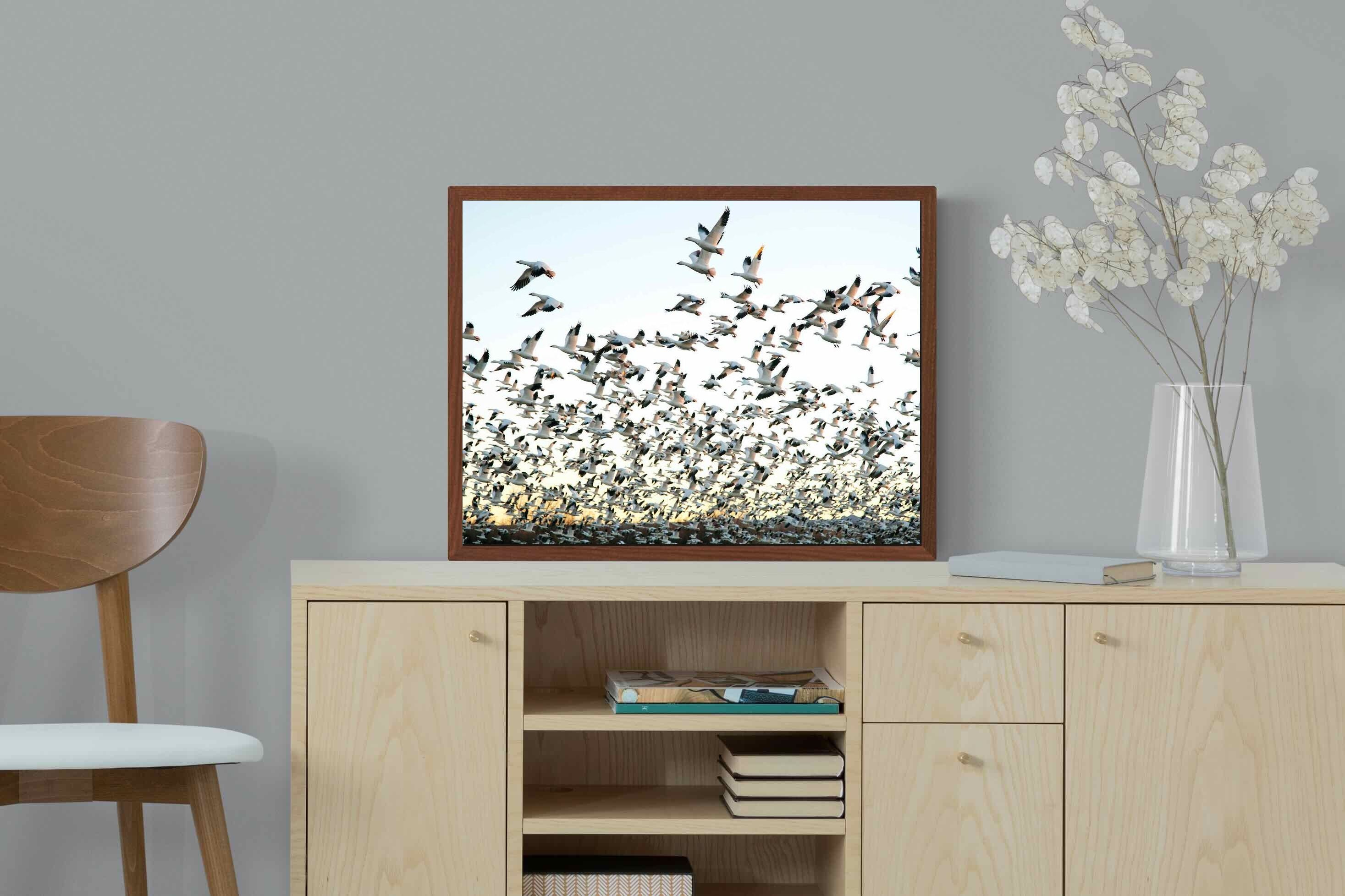 Pixalot ® Snow Geese