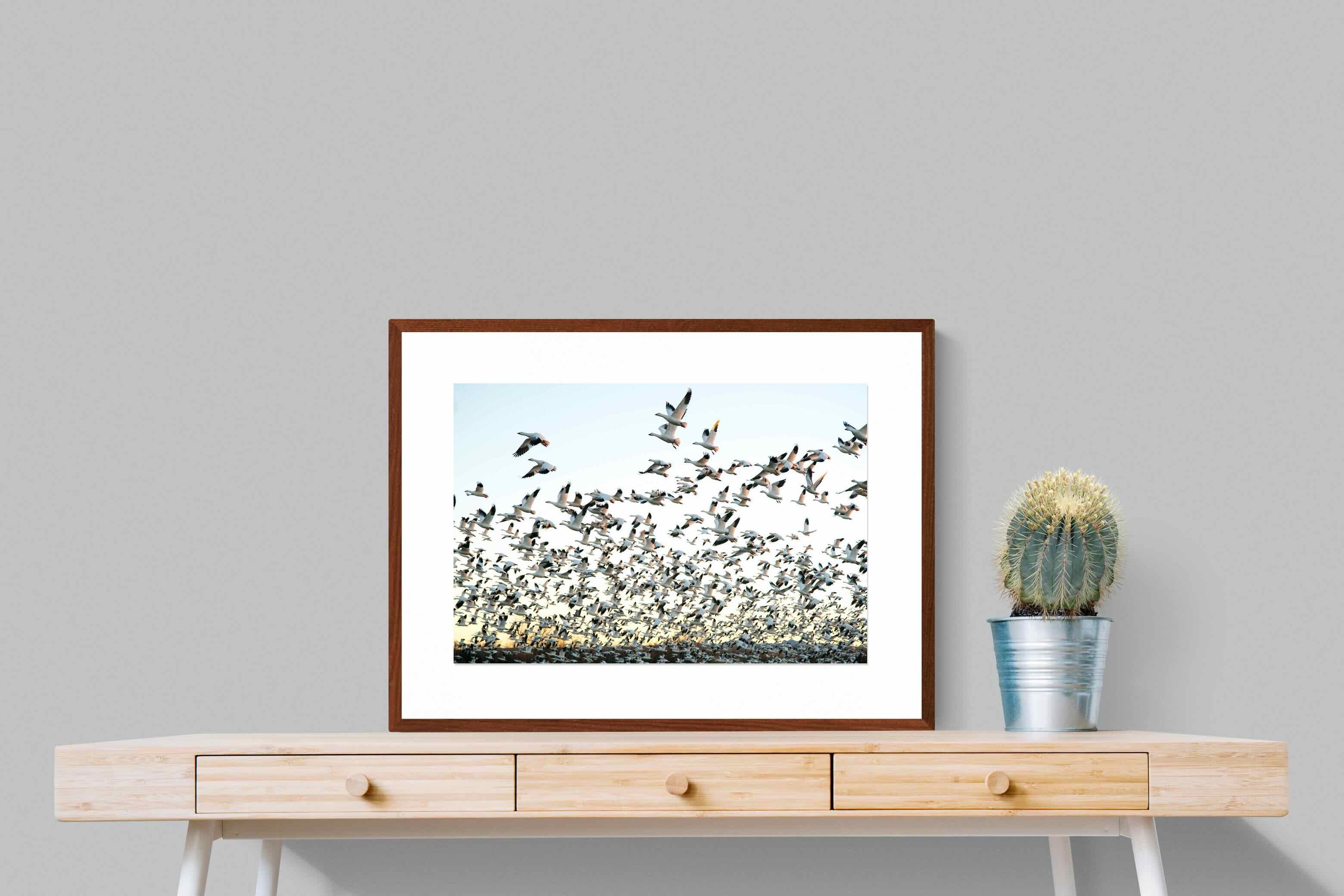 Pixalot ® Snow Geese