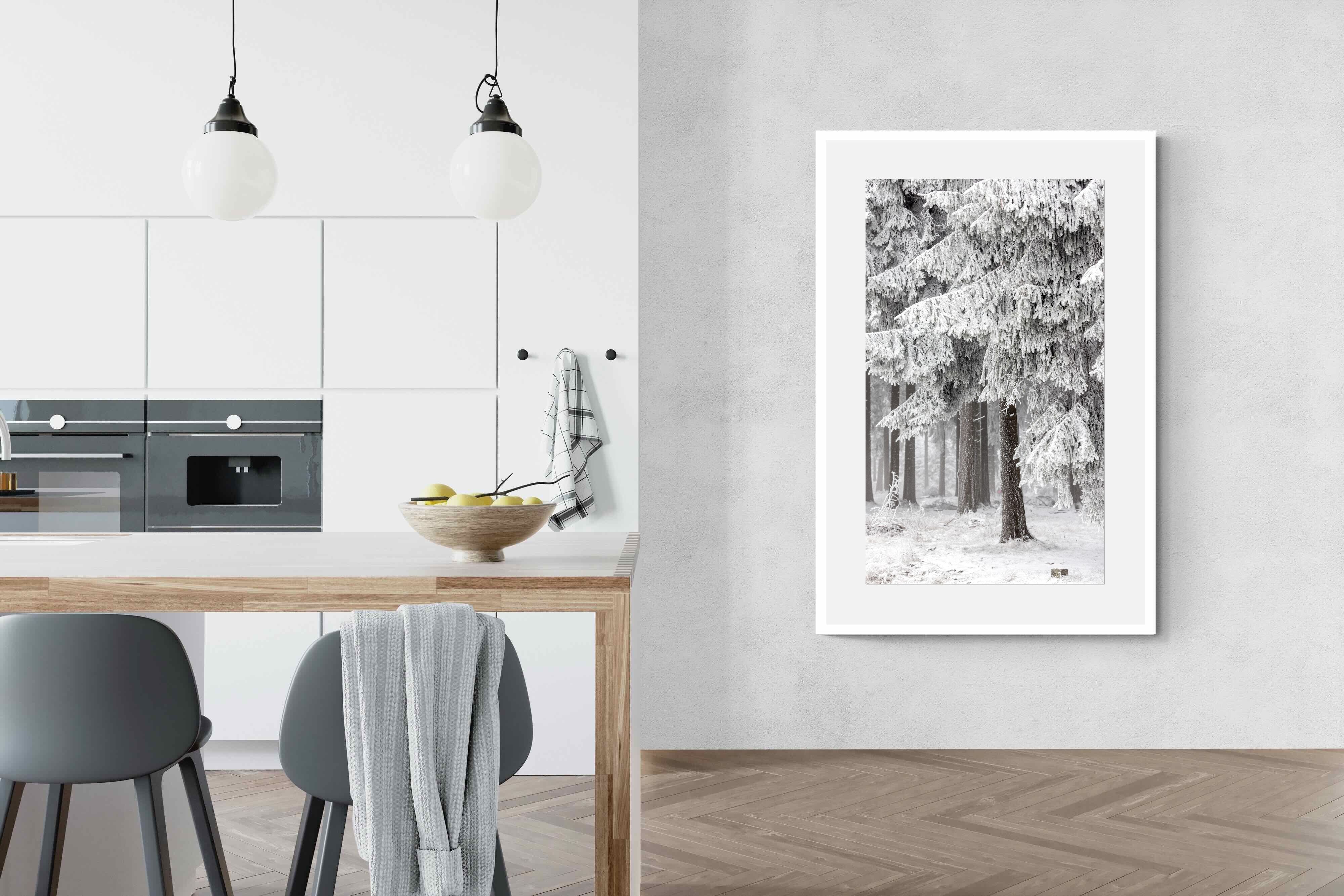 Pixalot Snowy Forest Silence