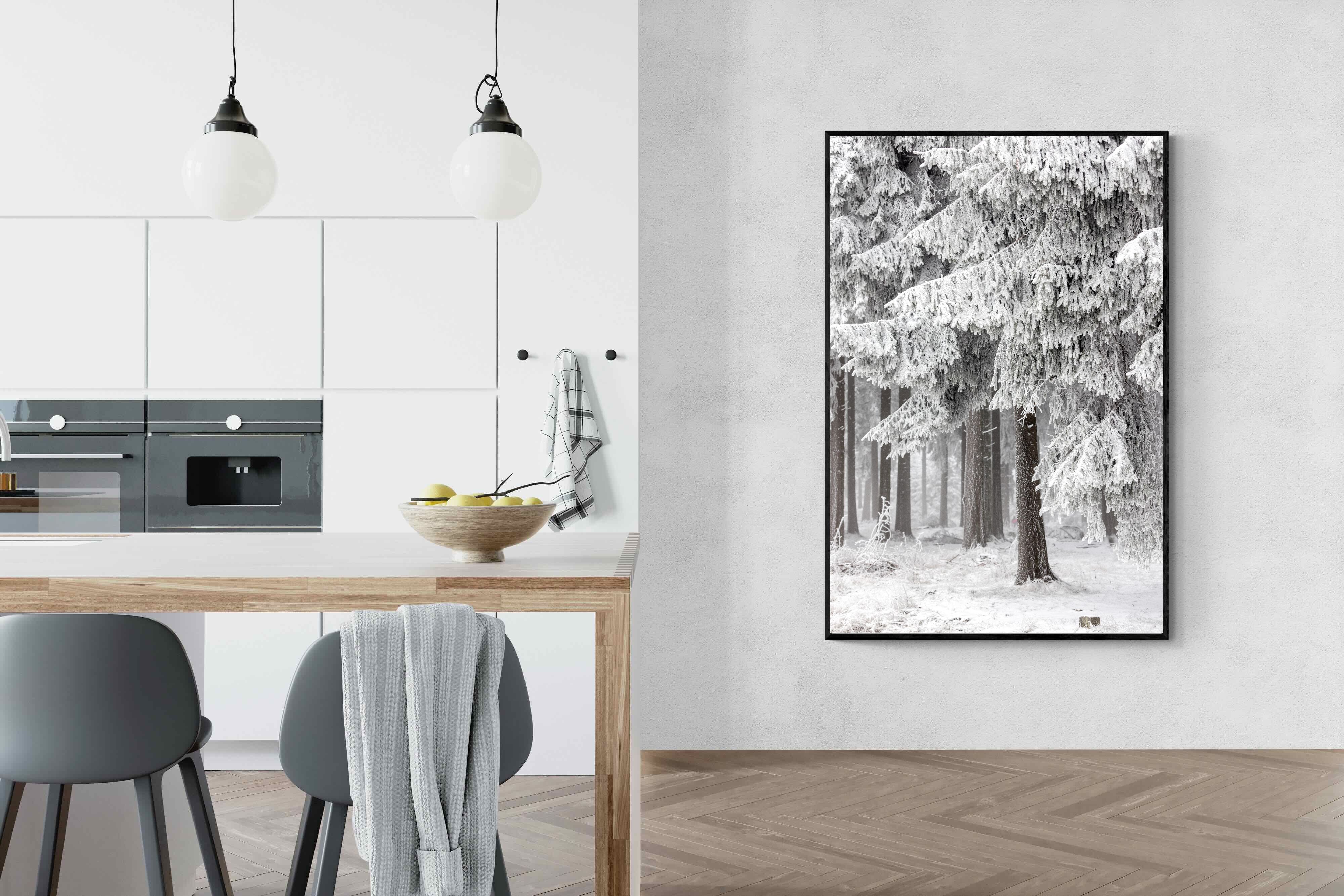 Pixalot Snowy Forest Silence