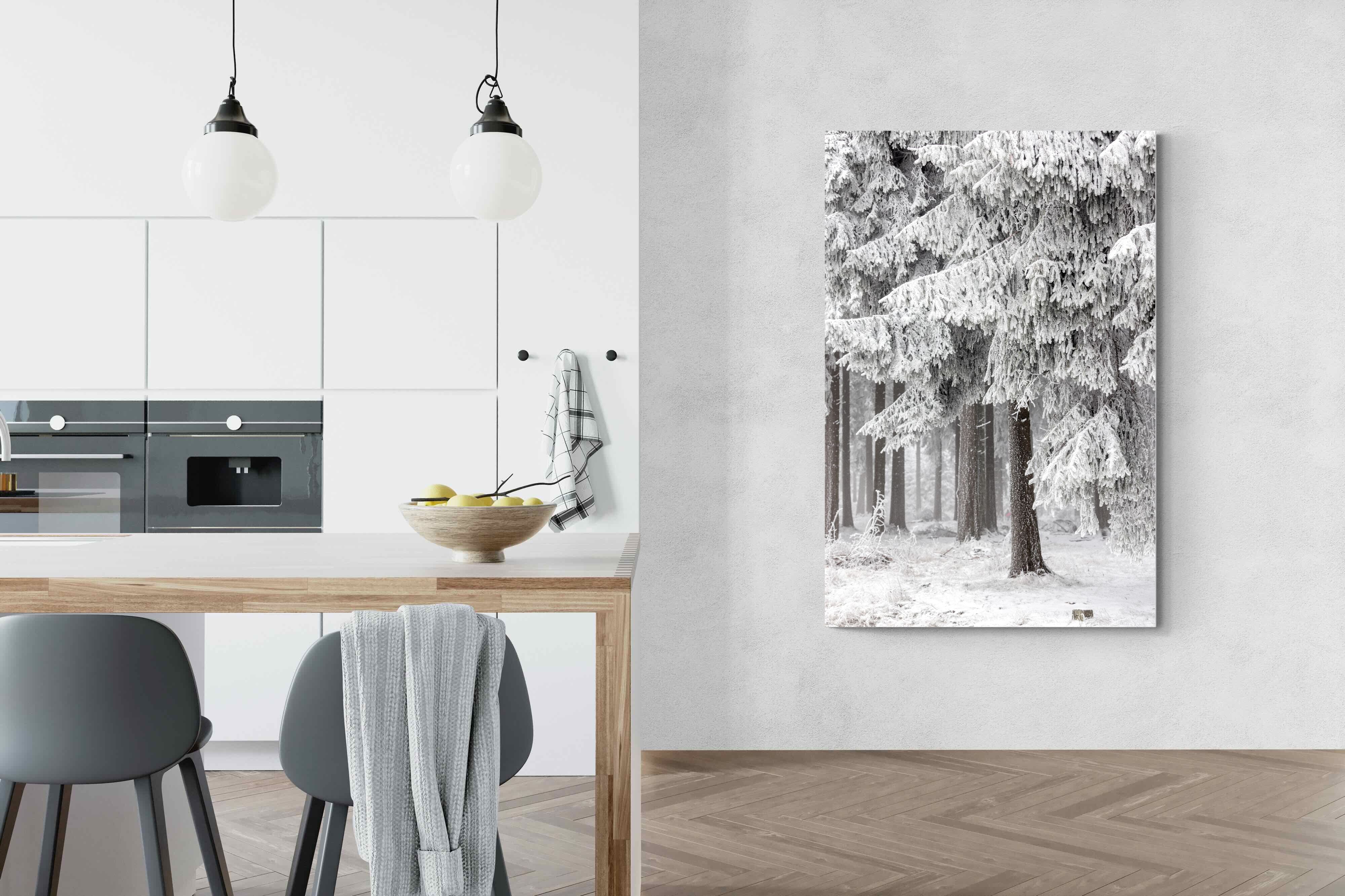 Pixalot Snowy Forest Silence