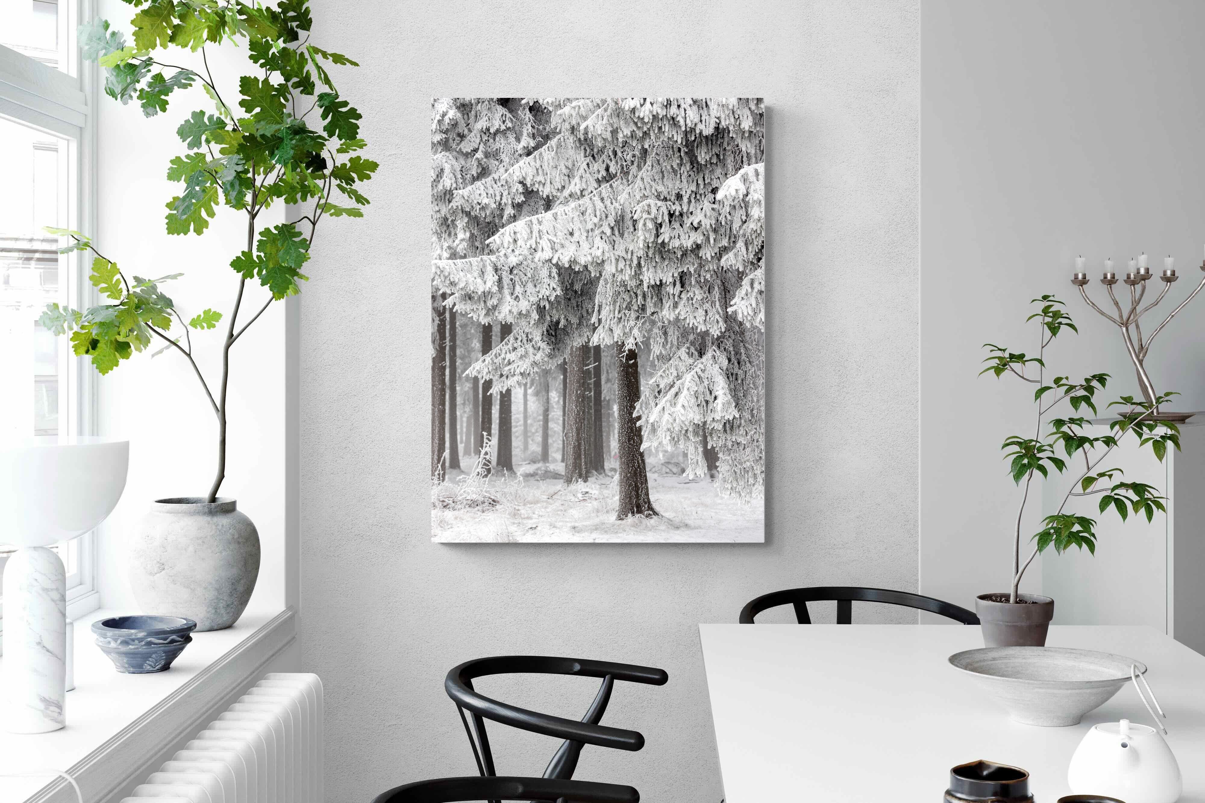 Pixalot Snowy Forest Silence