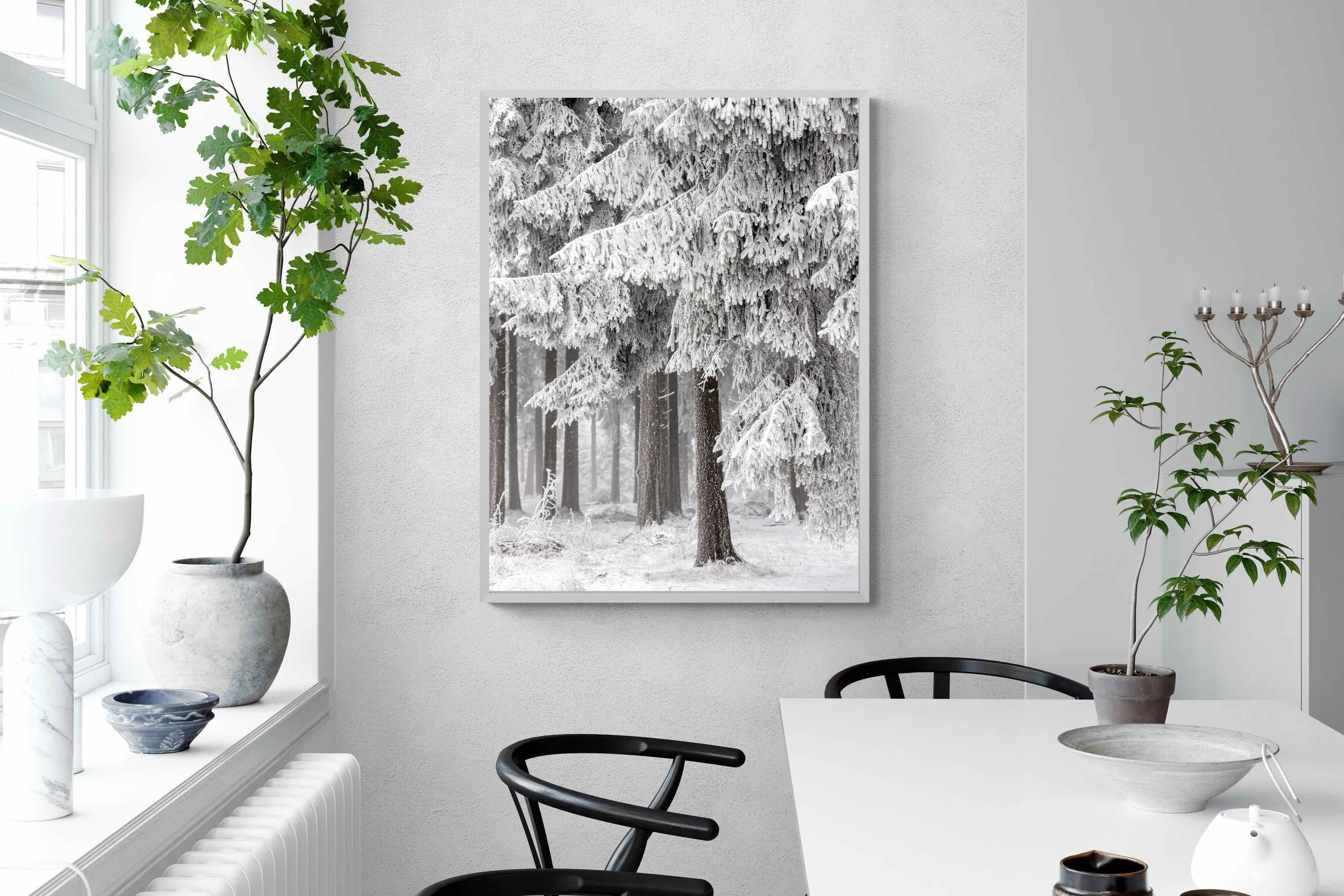 Pixalot Snowy Forest Silence