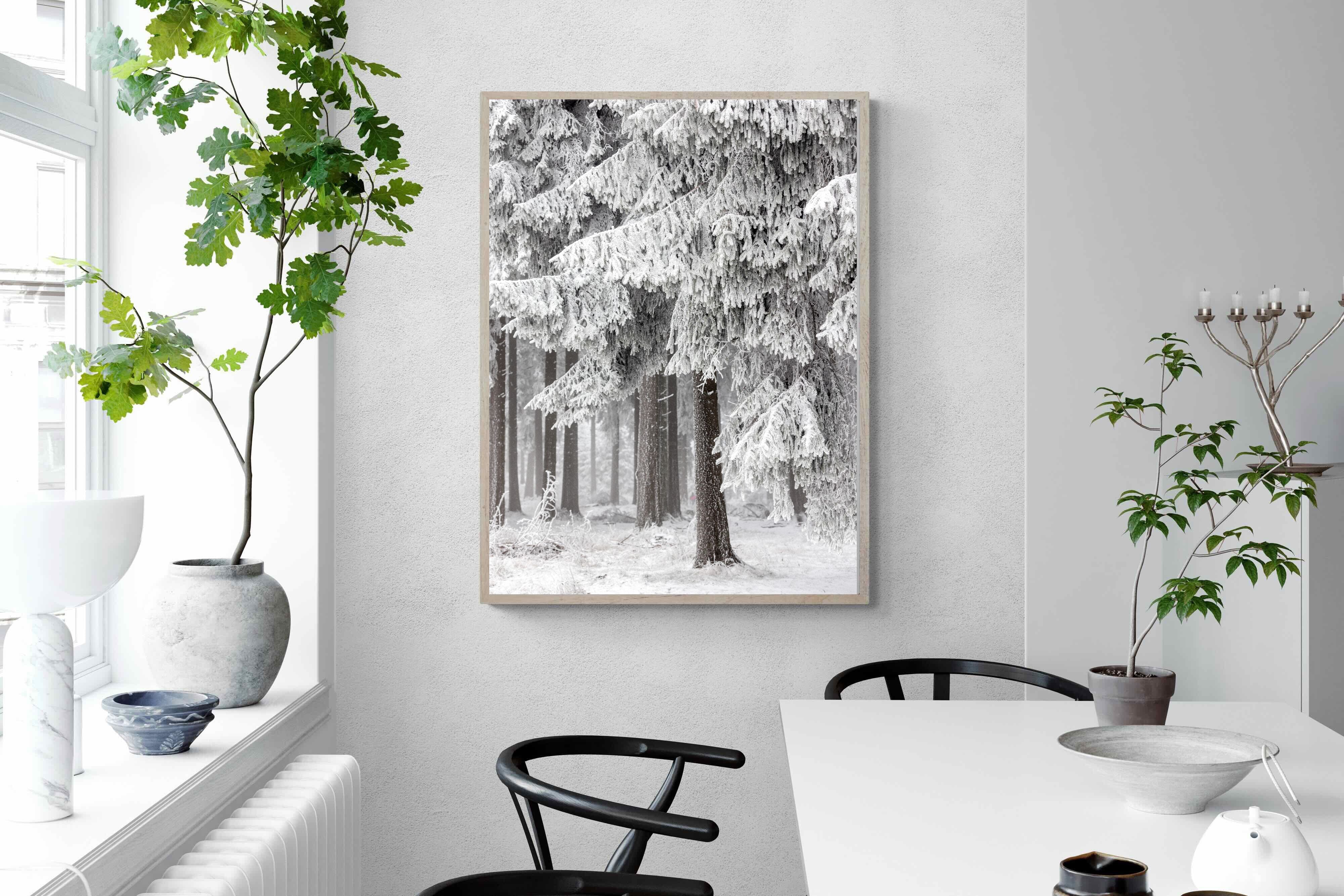 Pixalot Snowy Forest Silence