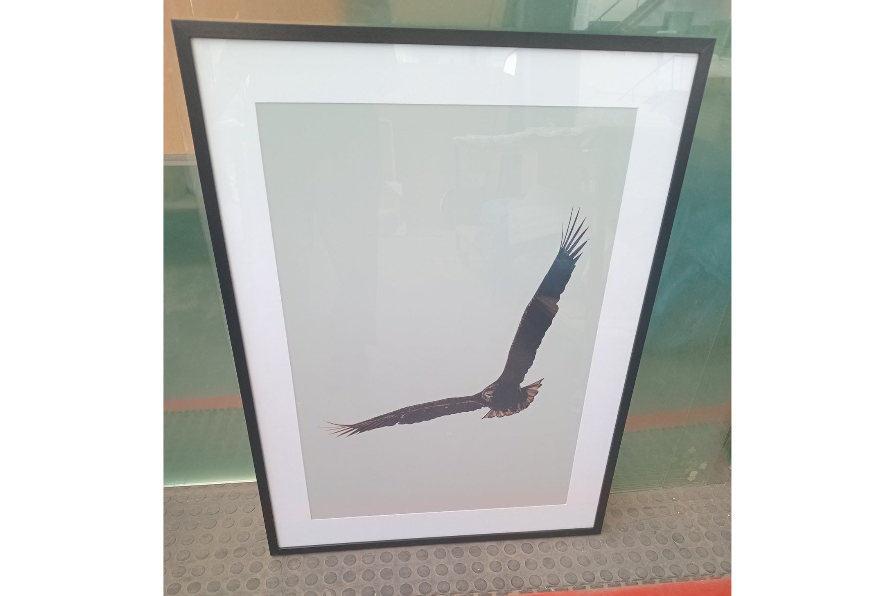 Soaring Eagle  | SALE