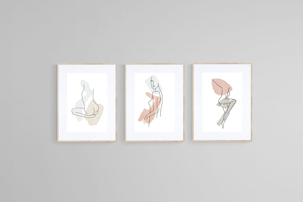 Soft Curves Set