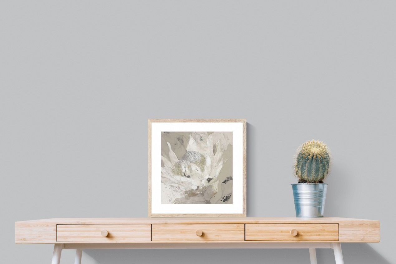 Pixalot ® Soft Protea