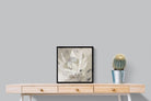 Pixalot ® Soft Protea
