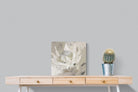 Pixalot ® Soft Protea