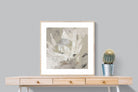 Pixalot ® Soft Protea