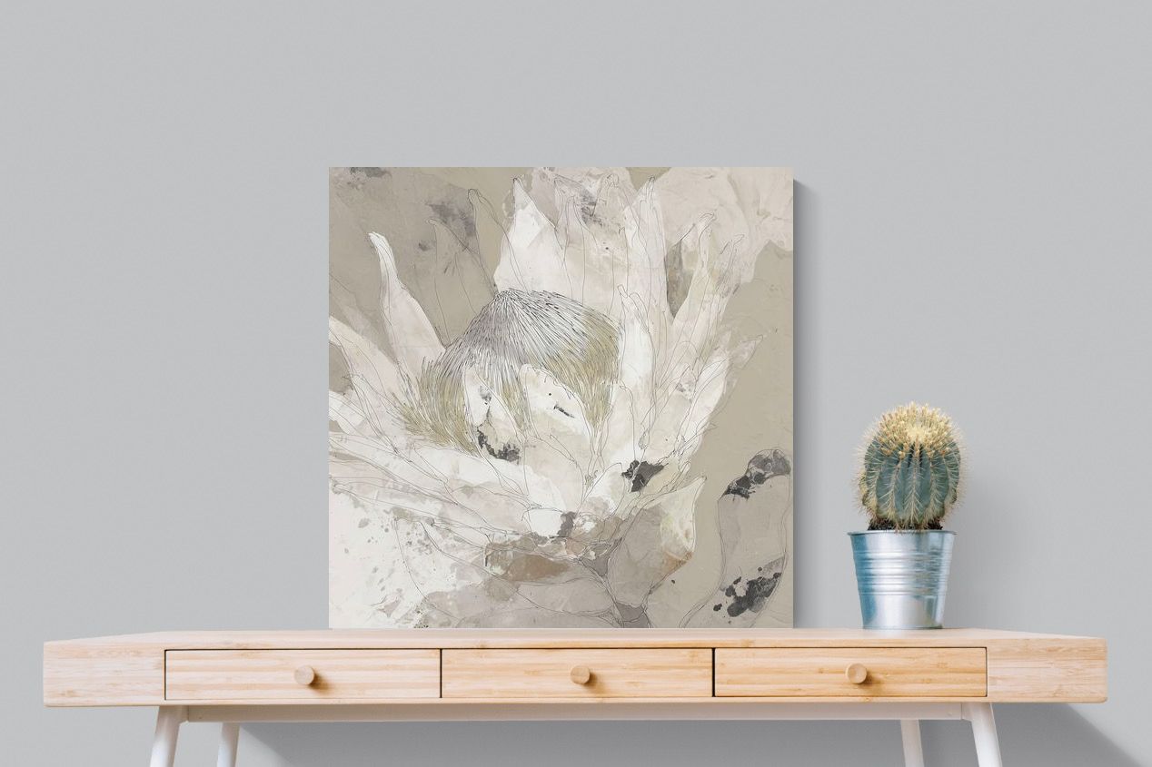Pixalot ® Soft Protea
