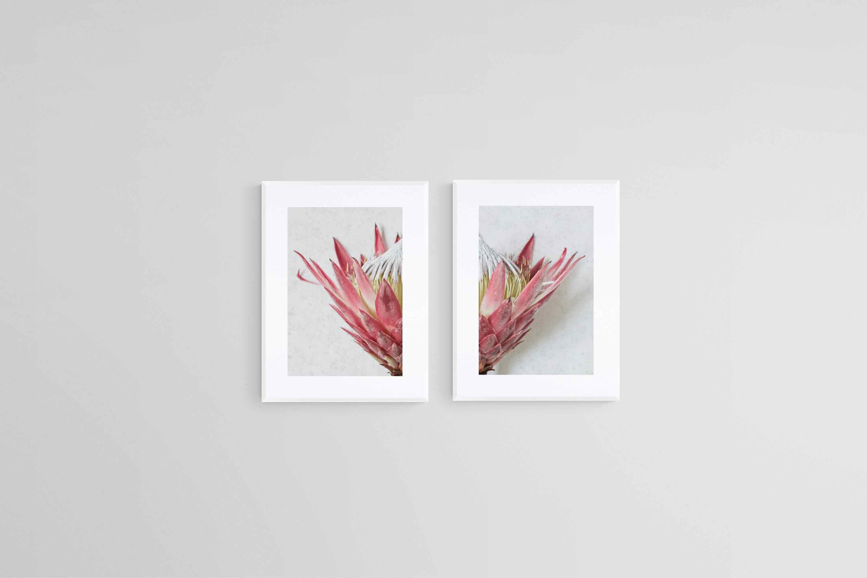Split Red King Protea Set-Wall_Art-45 x 60cm (x2)-Framed Print-White-Pixalot